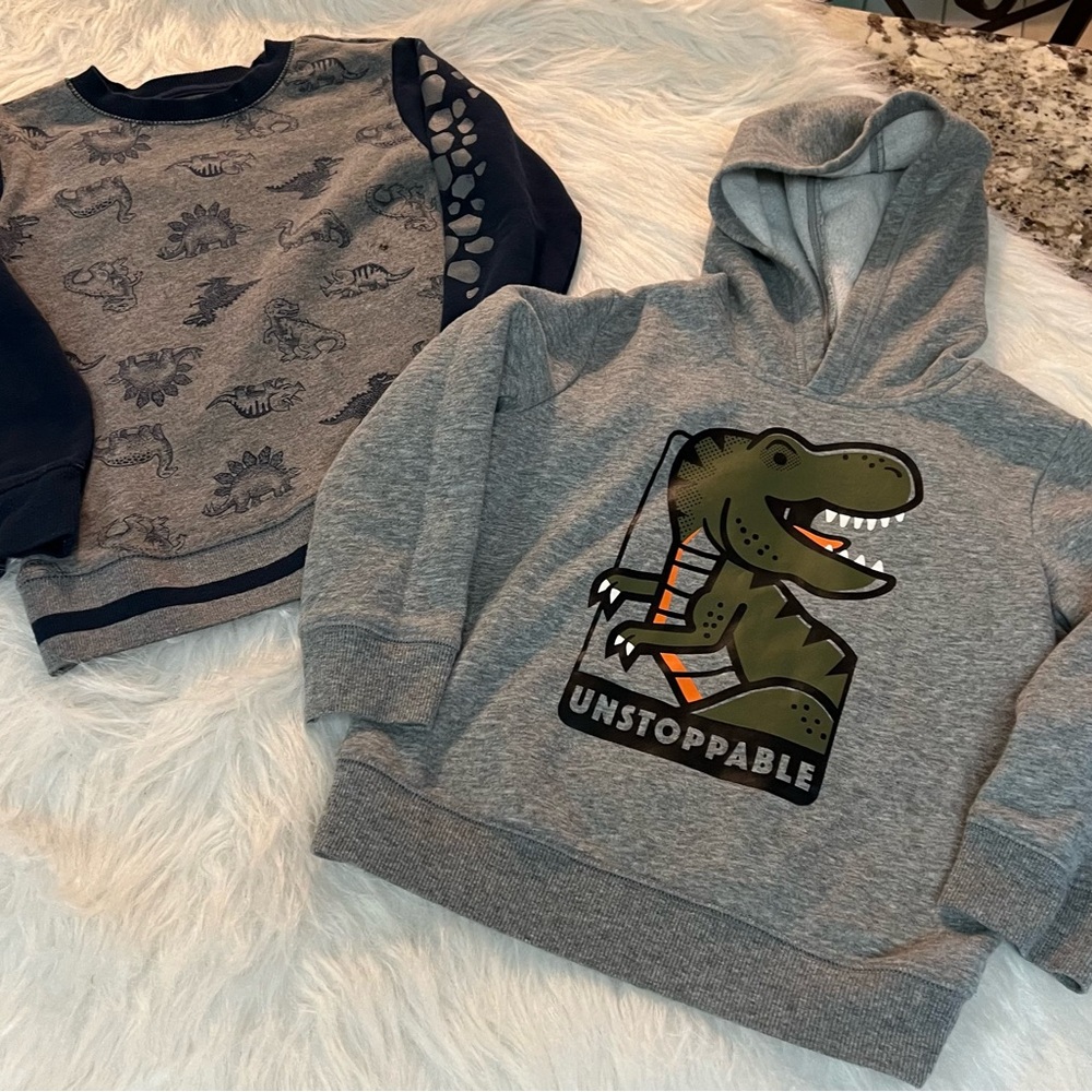 Bundle of 2 sweatshirts -Gray Dinosaur Kids Hoodie